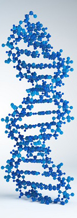 DNA